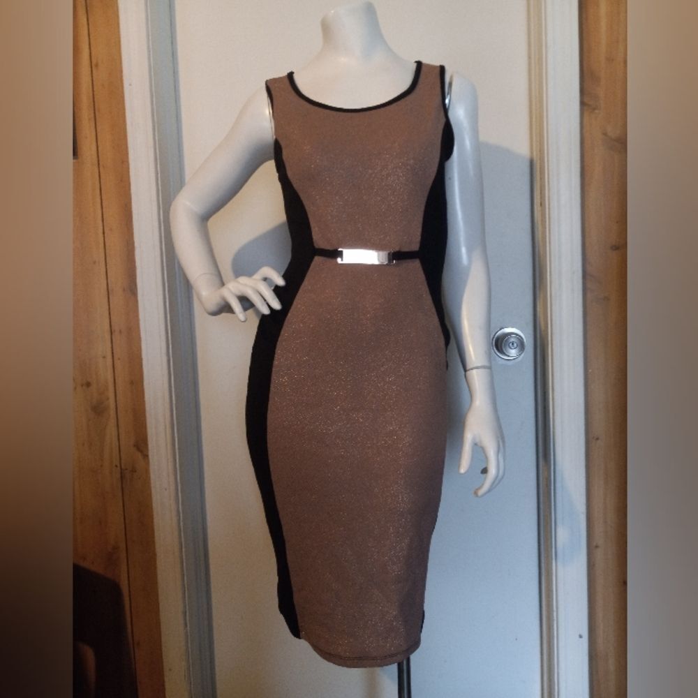 Annabelle Womens Dress Size S Blush Beige Champagne Black Figure Slimming Party